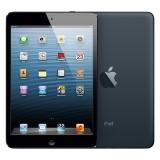 Apple iPad mini Wi-Fi 32 GB Black (MD529) -  1