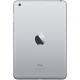 Apple iPad mini 3 Wi-Fi 16GB Space Gray (MGNR2) -   2